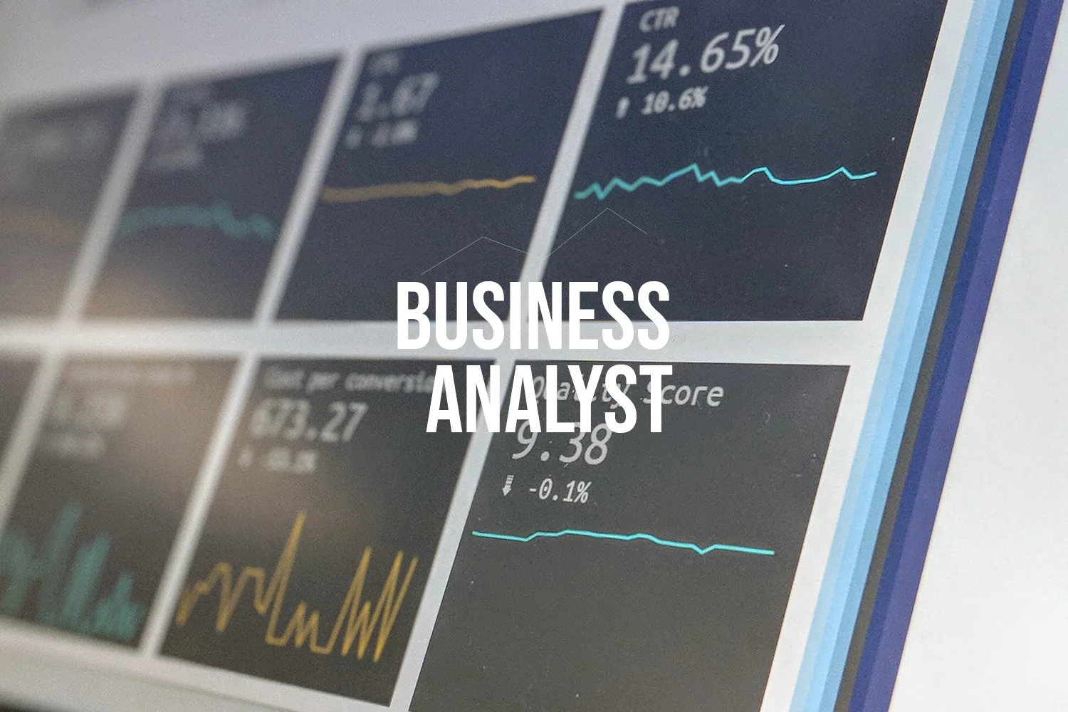 business_analyst